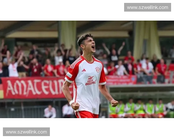 2010年欧冠决赛精彩回顾：拜仁慕尼黑与国际米兰的经典对决